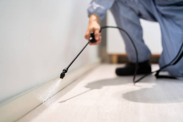 Licensed Termite Control service in Shawneeland, VA - Nex Pest Control