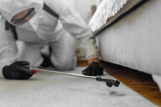 Professional Termite Control technician working in Shawneeland, VA