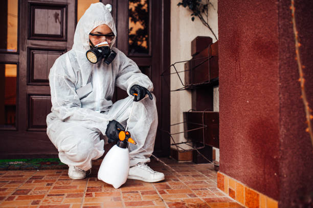 Reliable Termite Control contractor in Shawneeland, VA by Nex Pest Control