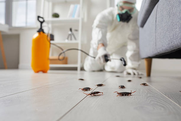 Trusted Termite Control service in Shawneeland, VA - Nex Pest Control